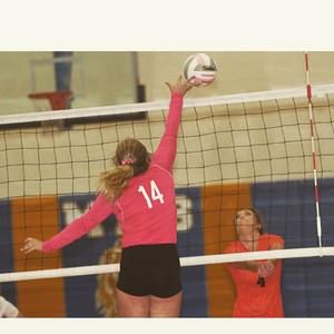 Meet your Posher, Ashton